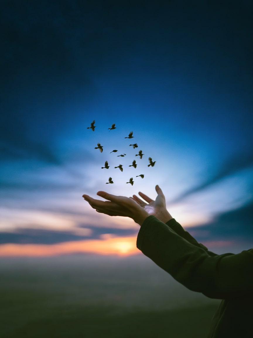 Release